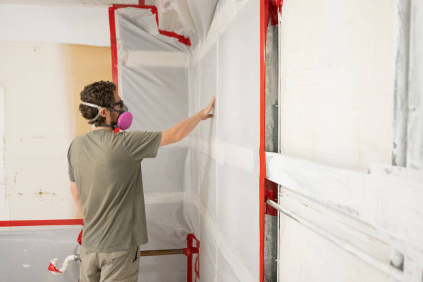 Best Mold Documentation for Insurance Claims  in Mountain Iron, MN