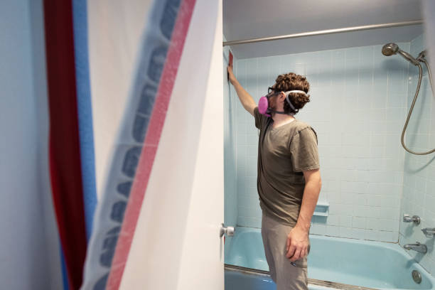 Best Basement Mold Removal  in Mountain Iron, MN