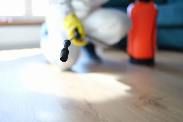 Best Mold Remediation for Healthcare Facilities  in Mountain Iron, MN