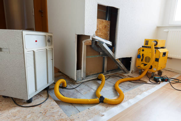 Best Dehumidification Services  in Mountain Iron, MN
